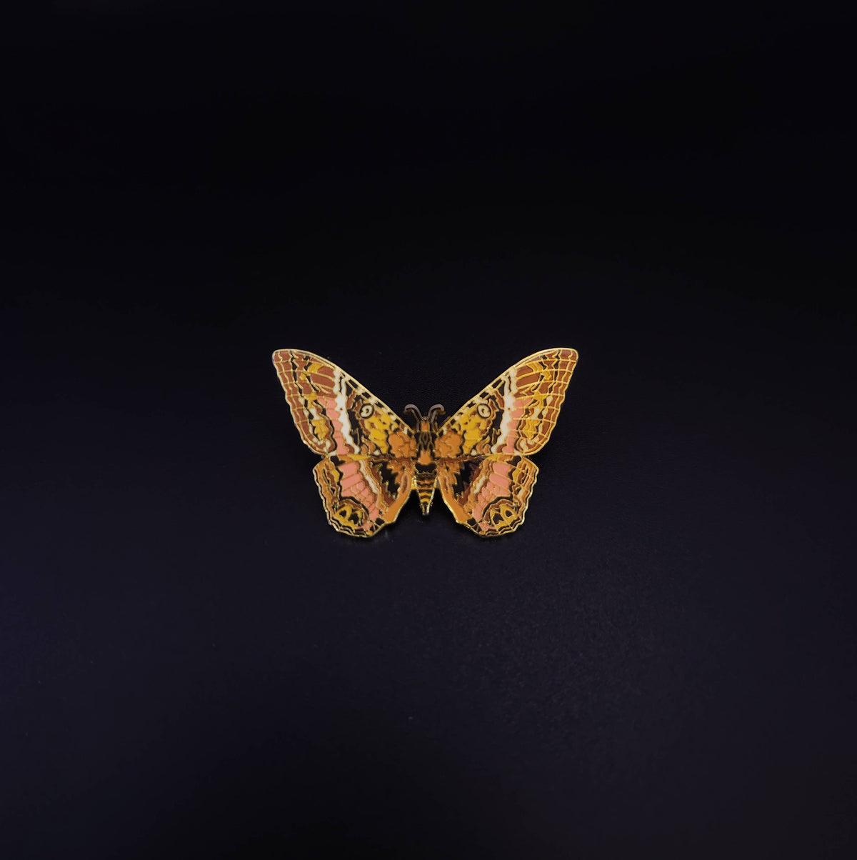 Scorpio - Zodiac Butterfly and Moth Collection - Black Witch