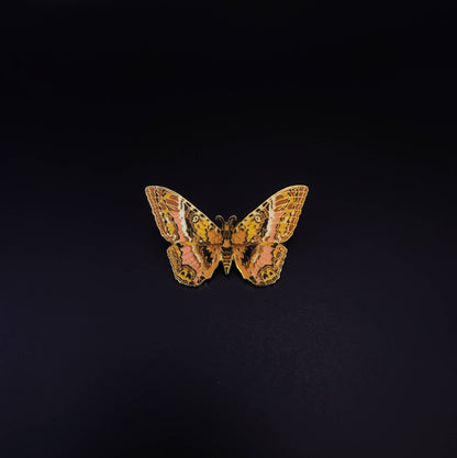Scorpio - Zodiac Butterfly and Moth Collection - Black Witch