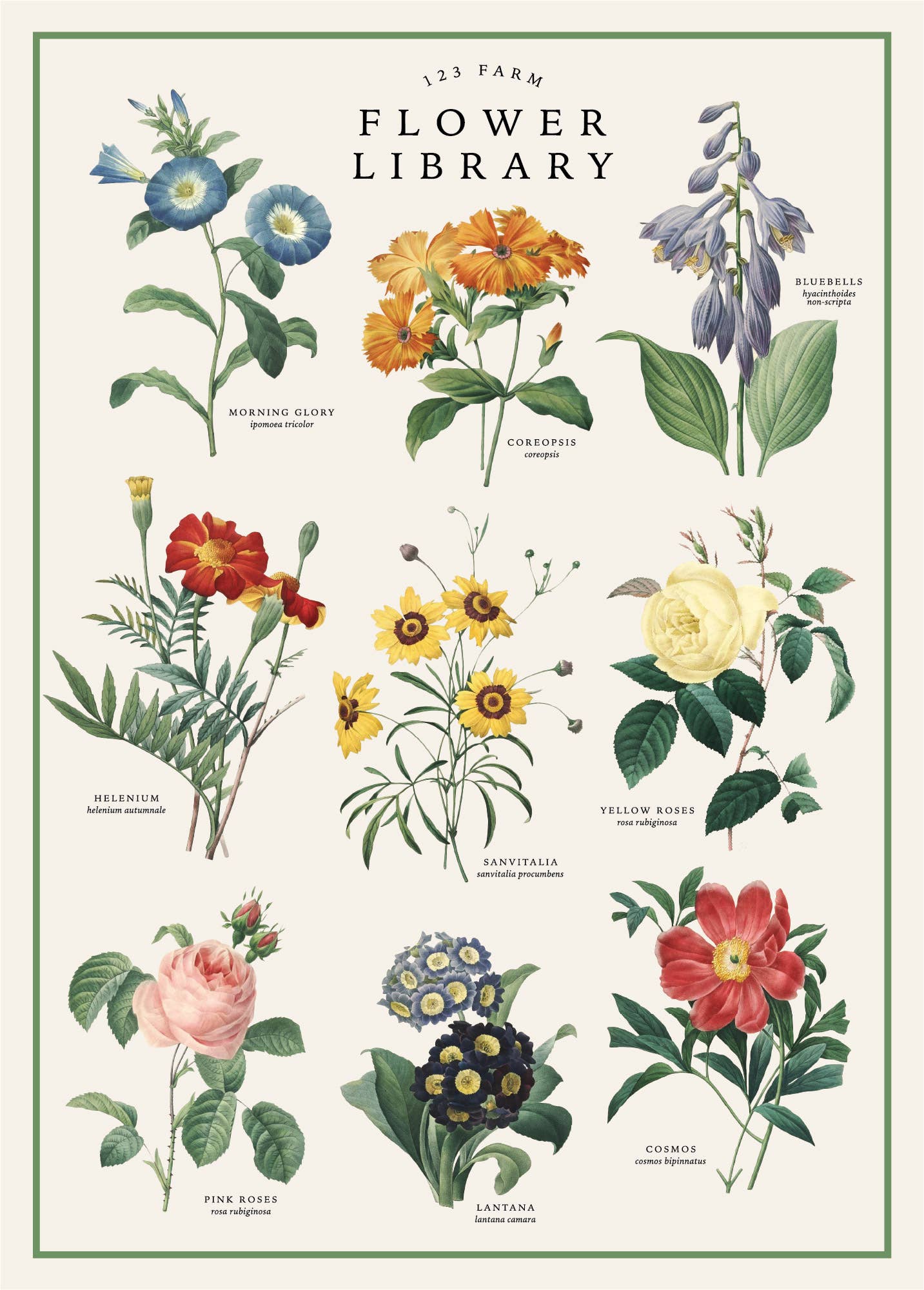 Vintage Posters Wrapping Paper - Flower Library