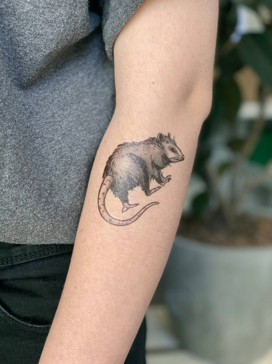 Tatuaje temporal de zarigüeya