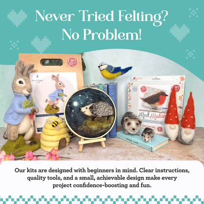 British Birds Red Robin Needle Felting Craft Kit