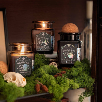 Seasonal Curiosity Candles