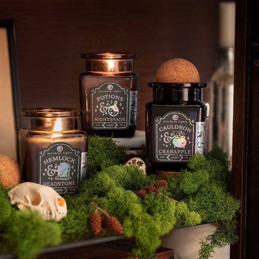 Seasonal Curiosity Candles