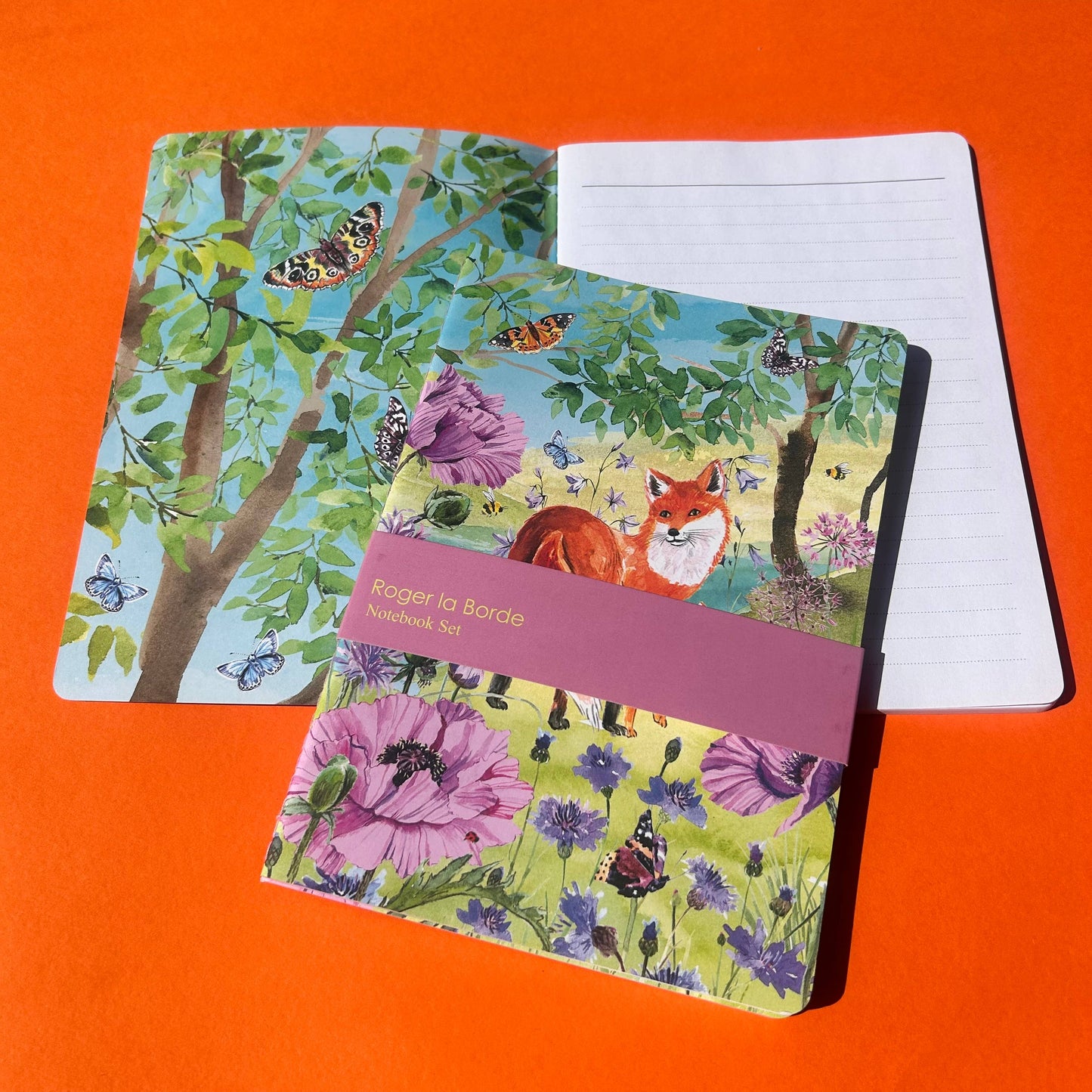 Sunny & Wild A5 Softback Notebook Set