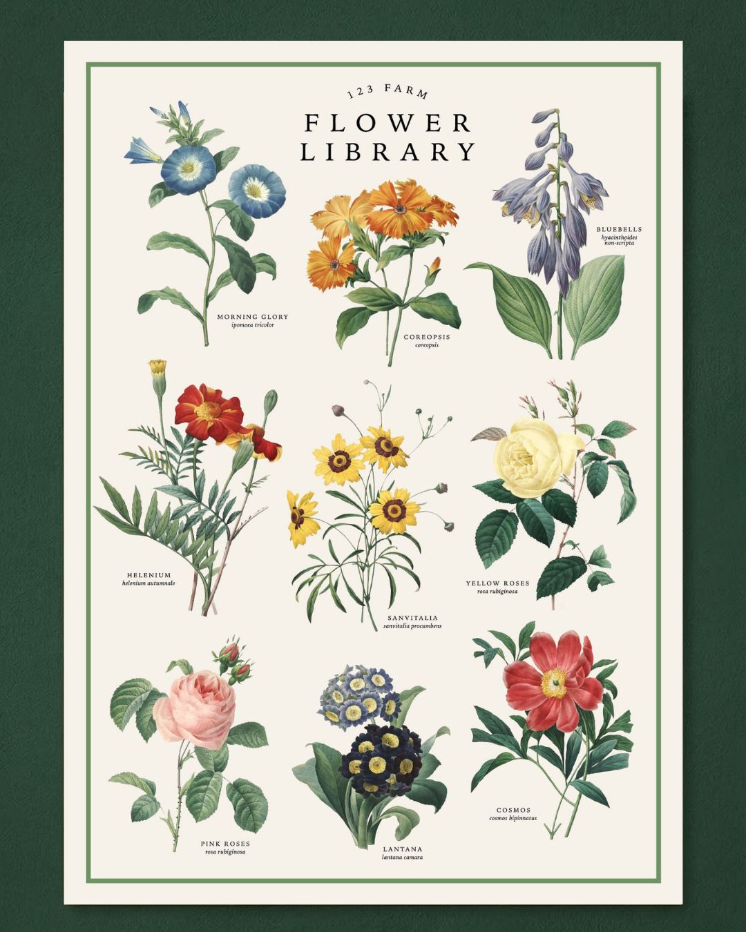Vintage Posters Wrapping Paper - Flower Library