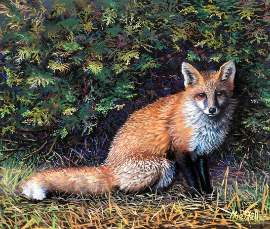 Fox in the Cedars Giclee Print